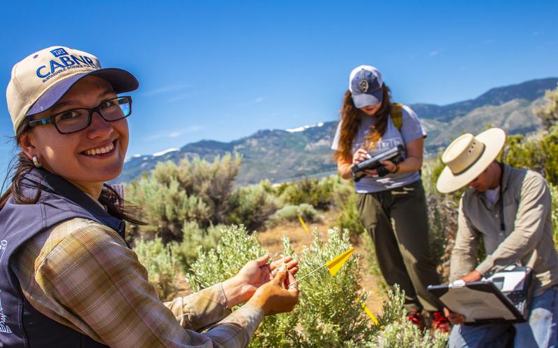 CABNR Students in the field